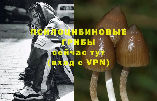mdpv Абинск