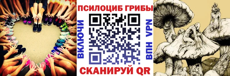 МЕГА ССЫЛКА  Весьегонск  Галлюциногенные грибы Psilocybine cubensis 