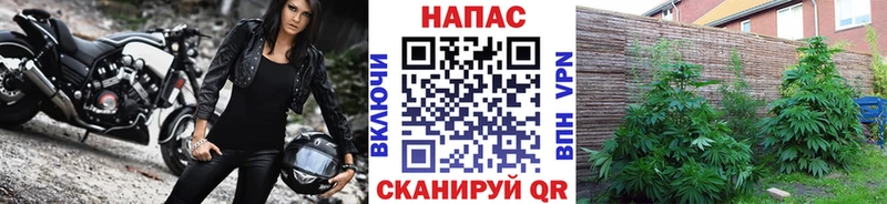 дарнет шоп  Весьегонск  МАРИХУАНА тримм 